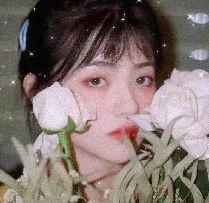 荷里活小子